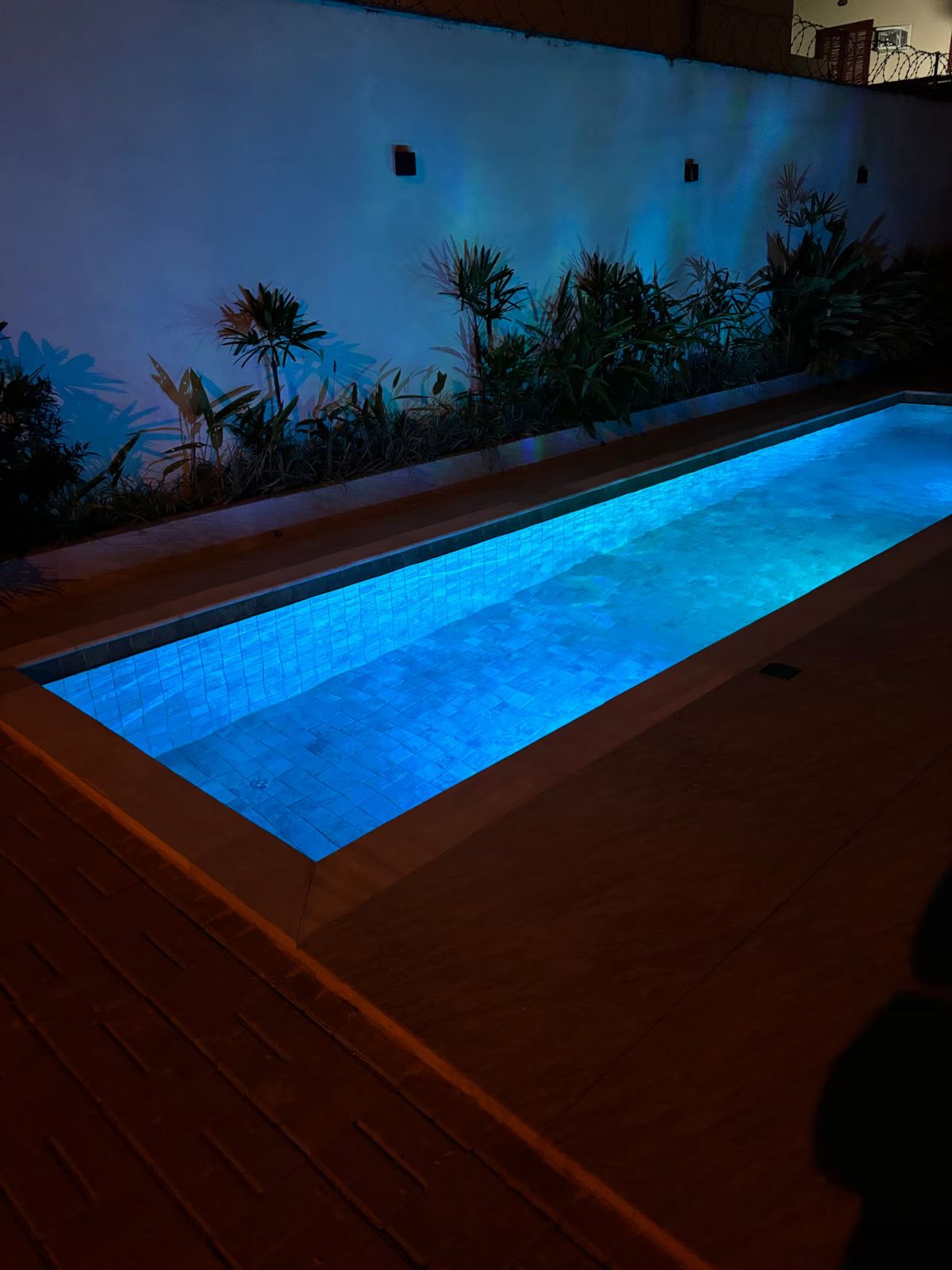 Piscina com luz e plantas à noite