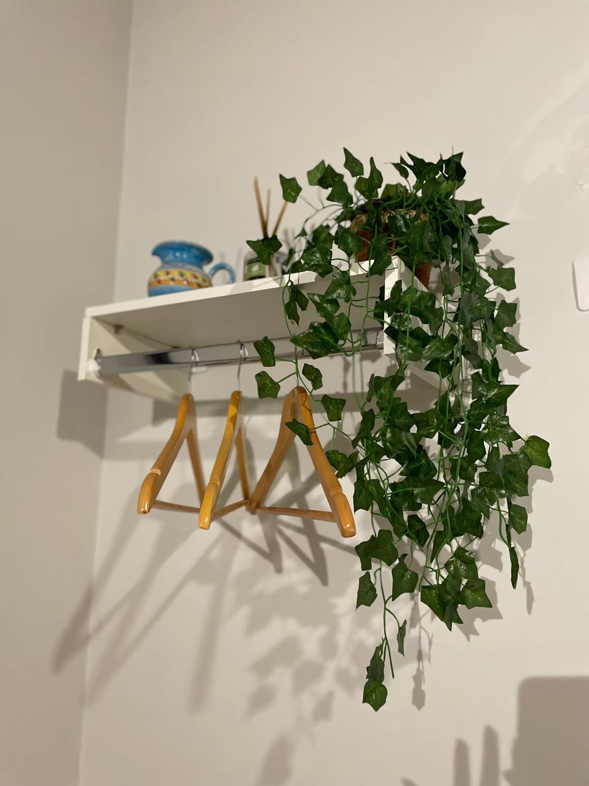 Cabideiro com planta