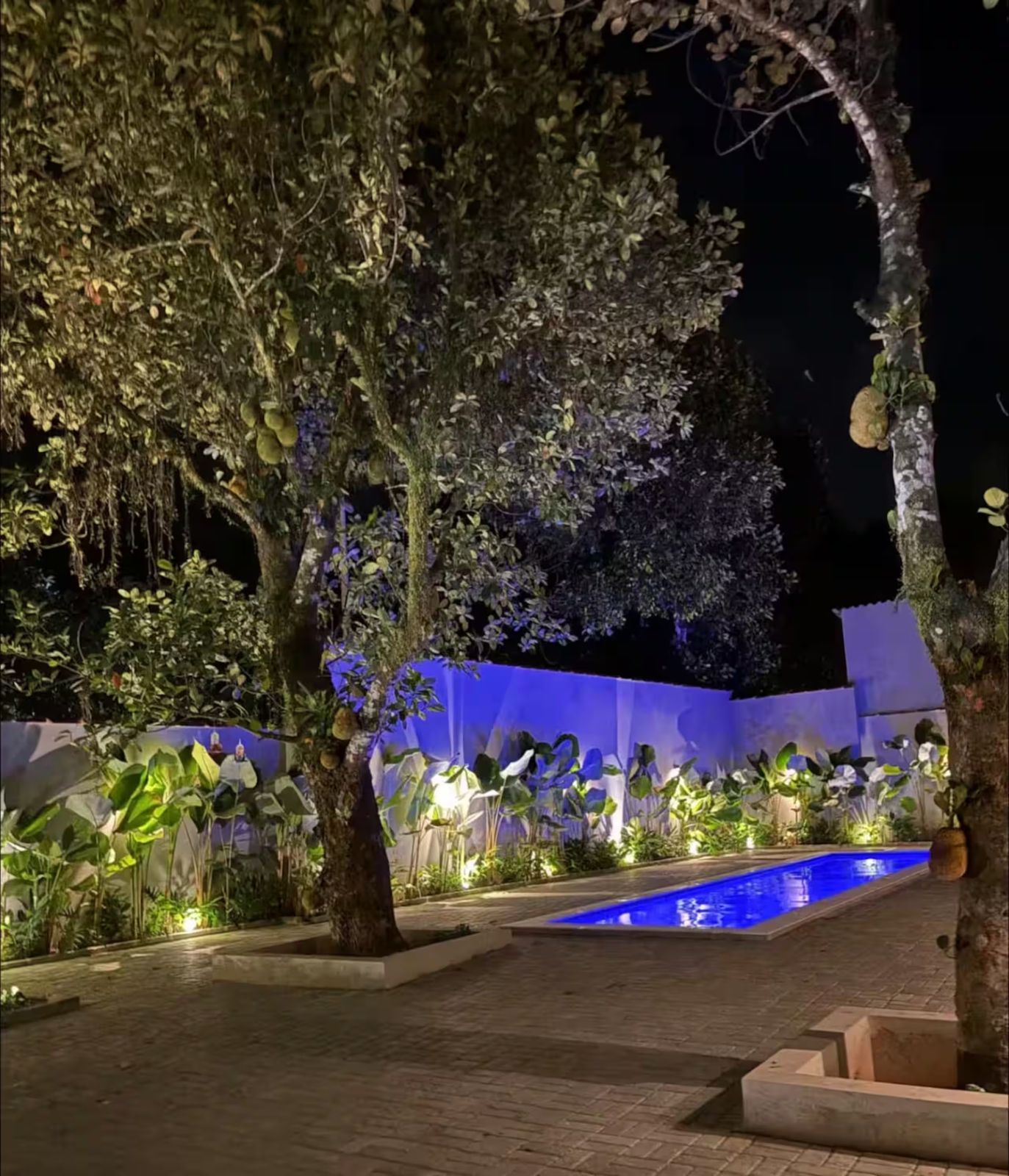 Piscina do condomínio iluminada à noite entre árvores e jardim