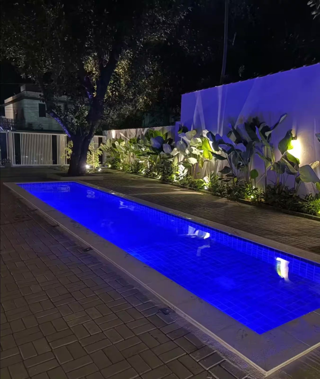 Piscina do condomínio iluminada à noite, com jardim ao lado